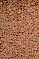 A close-up, top-down view of a pile of dry brown lentils filling the frame