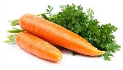 Two Fresh Orange Carrots with Green Tops on White Background