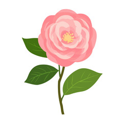 My Simple flat 2D icon camellia branch isolated on transparent background, vector, flat design, animation design, simple flat 2D icon, clipart