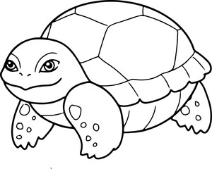 turtle doodle reptiles