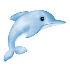 dolphin watercolor