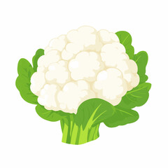 My Simple flat 2D icon white cauliflower with green leaf  isolated on transparent background, vector, flat design, animation design, simple flat 2D icon, clipart