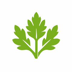 My Simple flat 2D icon celery leaves isolated on white background, vector, flat design, animation design, simple flat 2D icon, clipart