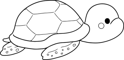 turtle doodle
