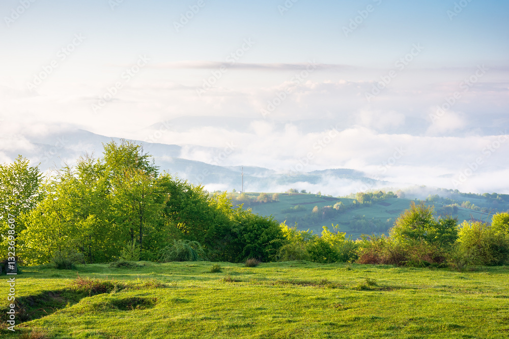Wall mural scenic view of nature in fog and clouds. sunny morning. deciduous forest on the hills in spring. rur