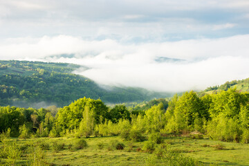 scenic view of nature in fog and clouds. panoramic countryside landscape on a sunny morning....