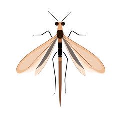 Very Simple flat 2D icon crane fly isolated on transparent background, vector, flat design, animation design, simple flat 2D icon, clipart