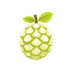 My Simple flat 2D icon custard apple with leaves isolated on transparent background, vector, flat design, animation design, simple flat 2D icon, clipart
