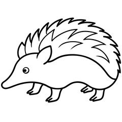 Echidna Outline in Minimal Vector Design