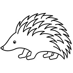 Echidna Outline in Minimal Vector Design
