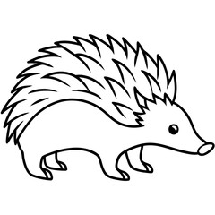 Echidna Outline in Minimal Vector Design