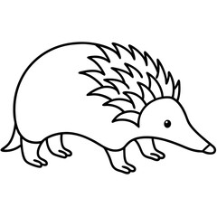 Obraz premium Echidna Outline in Minimal Vector Design