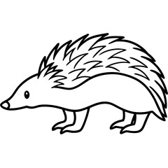 Echidna Outline in Minimal Vector Design