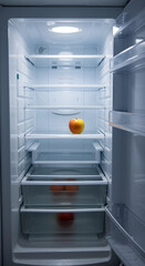 An empty fridge with just an apple