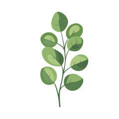 Very Simple flat 2D illustration eucalyptus branch leaf isolated on transparent background, vector, flat design, animation design, simple flat 2D icon, clipart