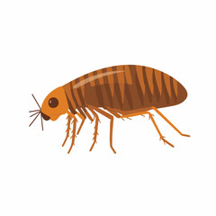 A Simple flat 2D illustration flea isolated on transparent background, vector, flat design, animation design, simple flat 2D icon, clipart