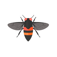 Very Simple flat 2D illustration fly isolated on transparent background, vector, flat design, animation design, simple flat 2D icon, clipart