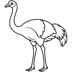 Elegant Single Line Ostrich Vector Illustration