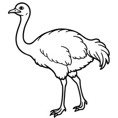 Elegant Single Line Ostrich Vector Illustration