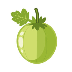 Very Simple flat 2D illustration green gooseberry isolated on transparent background, vector, flat design, animation design, simple flat 2D icon, clipart