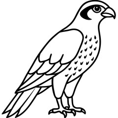 Falcon Line Art Vector