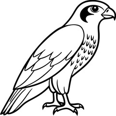 Falcon Line Art Vector