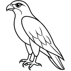 Falcon Line Art Vector