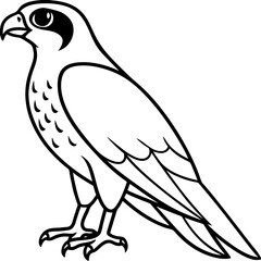 Falcon Line Art Vector