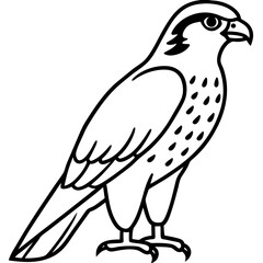 Falcon Line Art Vector