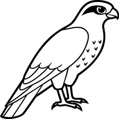 Falcon Line Art Vector