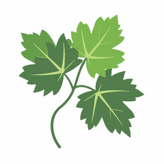 Very Simple flat 2D illustration grapevine leaf isolated on transparent background, vector, flat design, animation design, simple flat 2D icon, clipart
