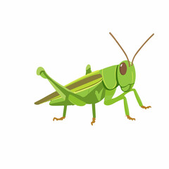 A Simple flat 2D illustration green grasshopper isolated on transparent background, vector, flat design, animation design, simple flat 2D icon, clipart