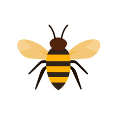 My Simple flat 2D illustration honey bee icon isolated on transparent background, vector, flat design, animation design, simple flat 2D icon, clipart