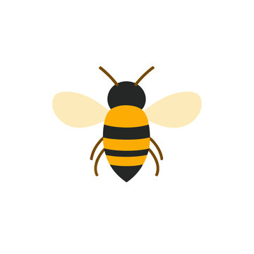 My Simple flat 2D illustration honey bee isolated on transparent background, vector, flat design, animation design, simple flat 2D icon, clipart