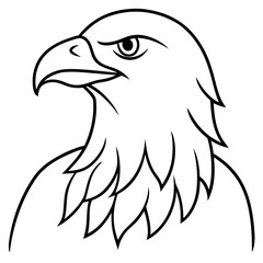 Minimalist Eagle Line Art Vector Design