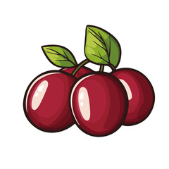 My Simple flat 2D illustration jujube branch isolated on transparent background, vector, flat design, animation design, simple flat 2D icon, clipart