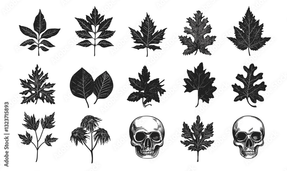Poster botanical and skull outline icons set in linear style – vector.