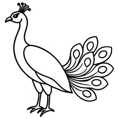 Minimalist Peacock Line Art Vector