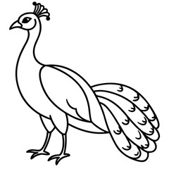 Minimalist Peacock Line Art Vector