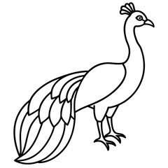 Fototapeta premium Minimalist Peacock Line Art Vector