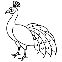 Minimalist Peacock Line Art Vector