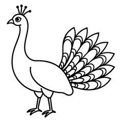 Minimalist Peacock Line Art Vector