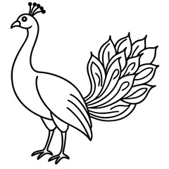 Minimalist Peacock Line Art Vector