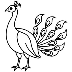 Minimalist Peacock Line Art Vector