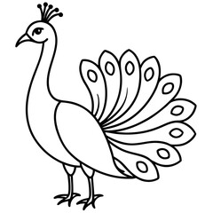Minimalist Peacock Line Art Vector
