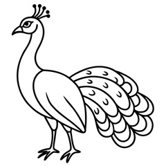 Minimalist Peacock Line Art Vector