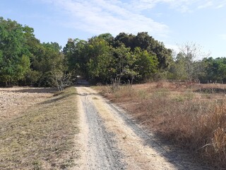 Rural roads and dry environment in summer in Asia (Thailand)