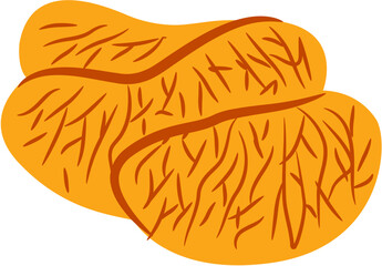  fresh juicy orange Slice