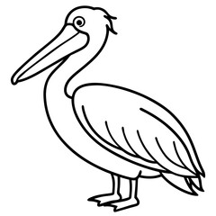 Minimalist Pelican Line Art Vector