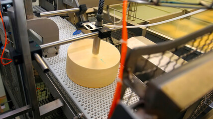 Machine processes a large cheese wheel on a conveyor belt in a production facility